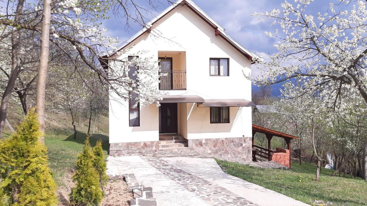 Casa Flutar Vila Moisei Exterior foto