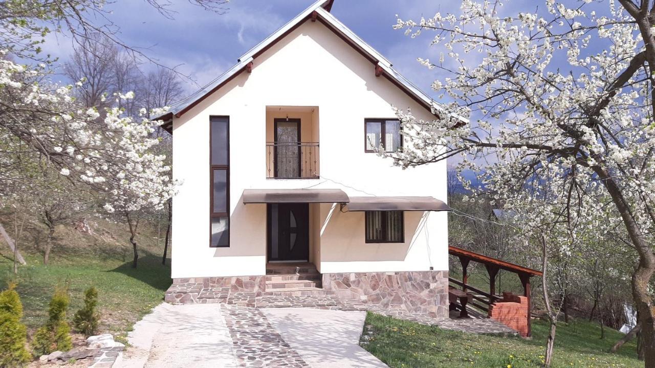 Casa Flutar Vila Moisei Exterior foto